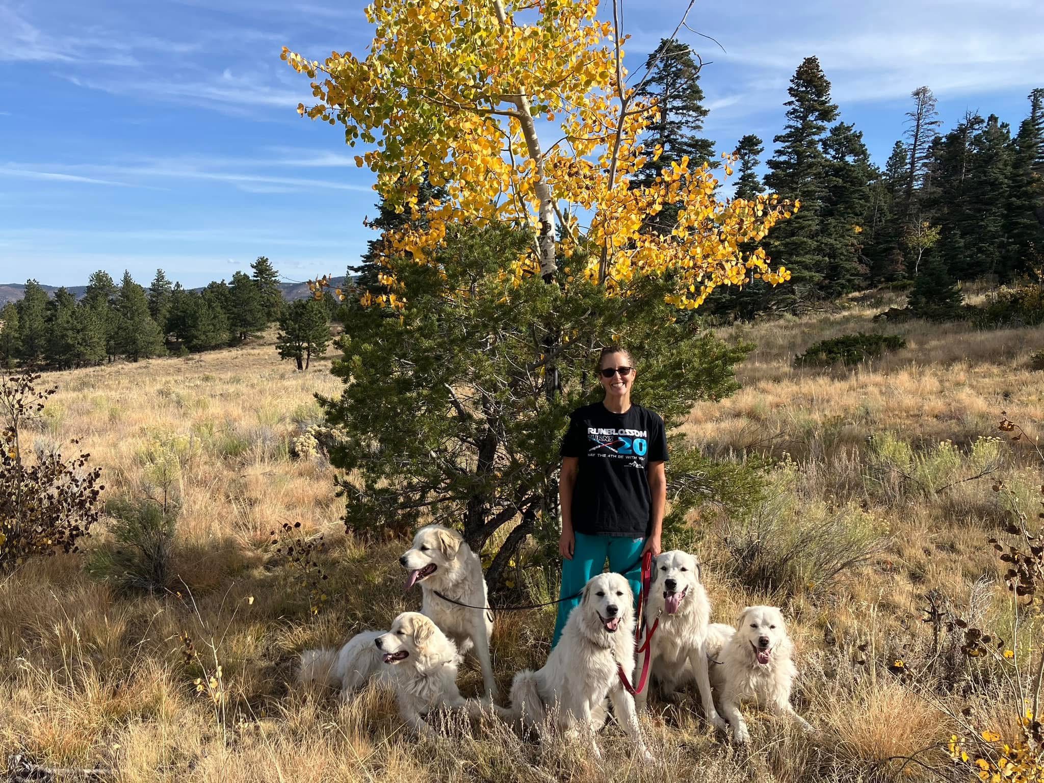 Alex with her dogs in the Colorado mountains
